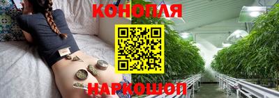 мет Кингисепп