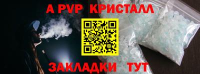мет Кингисепп