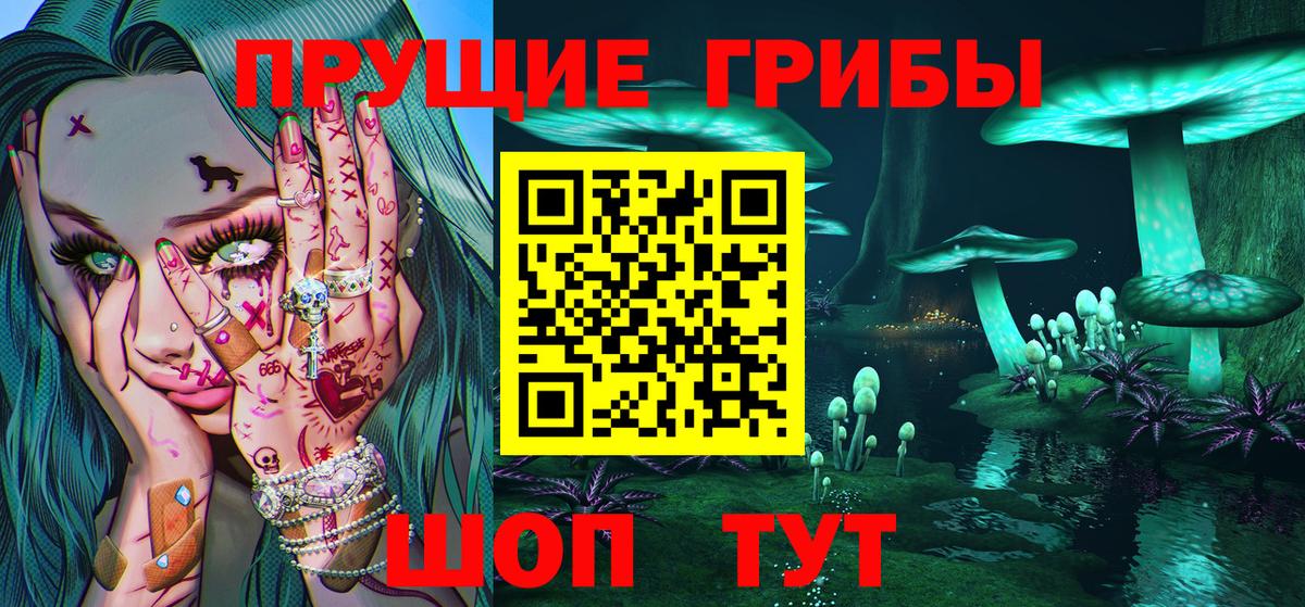Галлюциногенные грибы Cubensis  Псилоцибиновые грибы GOLDEN TEACHER  Вход с VPN  Комсомольск-на-Амуре 